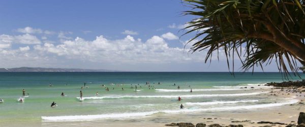 Blog Whats On In Noosa